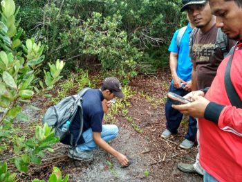 Tim Kajian dan Study Kelayakan dari Universitas Gajah Mada (UGM) 