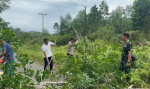 WhatsApp-Image-2025-11-06-at-14.21.57