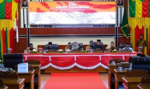 662716377_1274093491352108_6475425179918549176_n